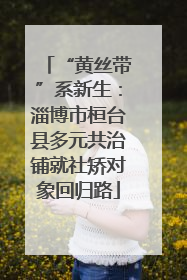 “黄丝带”系新生：淄博市桓台县多元共治铺就社矫对象回归路