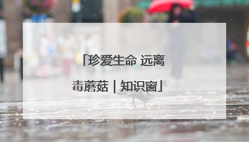 珍爱生命 远离毒蘑菇｜知识窗