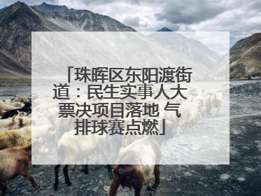 珠晖区东阳渡街道：民生实事人大票决项目落地 气排球赛点燃