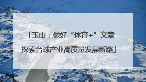 玉山：做好“体育+”文章 探索台球产业高质量发展新路