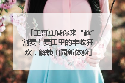 王哥庄喊你来“趣”割麦！麦田里的丰收狂欢，解锁田园新体验