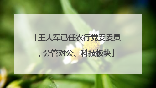 王大军已任农行党委委员，分管对公、科技板块