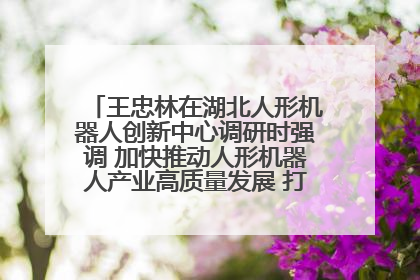 王忠林在湖北人形机器人创新中心调研时强调 加快推动人形机器人产业高质量发展 打造具有全国影响力的研发创新基地