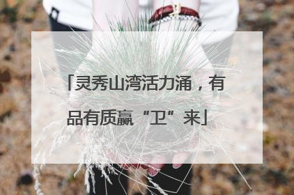 灵秀山湾活力涌，有品有质赢“卫”来
