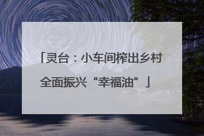 灵台：小车间榨出乡村全面振兴“幸福油”
