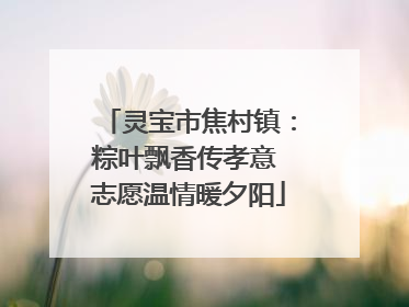灵宝市焦村镇：粽叶飘香传孝意 志愿温情暖夕阳