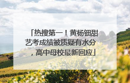 热搜第一！黄杨钿甜艺考成绩被质疑有水分，高中母校最新回应