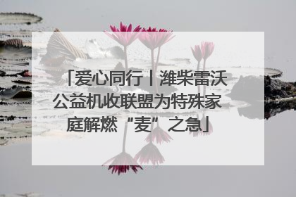 爱心同行丨潍柴雷沃公益机收联盟为特殊家庭解燃“麦”之急