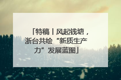 特稿丨风起钱塘，浙台共绘“新质生产力”发展蓝图