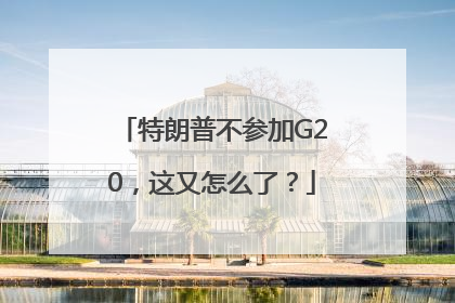 特朗普不参加G20，这又怎么了？
