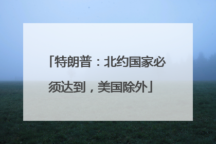 特朗普：北约国家必须达到，美国除外