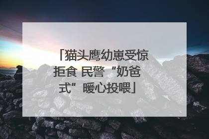猫头鹰幼崽受惊拒食 民警“奶爸式”暖心投喂