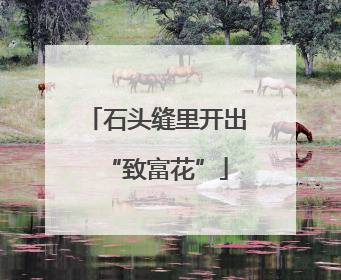 石头缝里开出“致富花”
