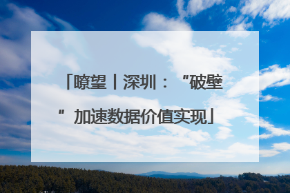 瞭望丨深圳：“破壁”加速数据价值实现