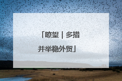 瞭望｜多措并举稳外贸