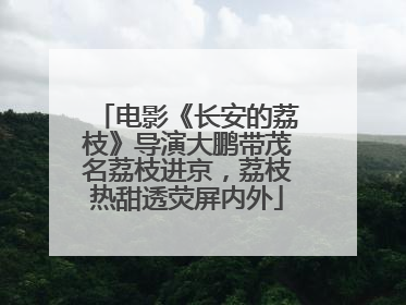 电影《长安的荔枝》导演大鹏带茂名荔枝进京，荔枝热甜透荧屏内外