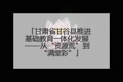 甘肃省甘谷县推进基础教育一体化发展——从“资源荒”到“满堂彩”