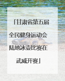 甘肃省第五届全民健身运动会陆地冰壶比赛在武威开赛