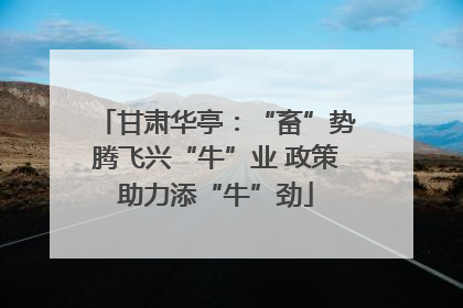 甘肃华亭：“畜”势腾飞兴“牛”业 政策助力添“牛”劲