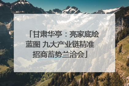 甘肃华亭：亮家底绘蓝图 九大产业链精准招商蓄势兰洽会