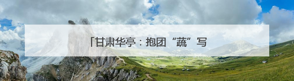 甘肃华亭：抱团“蔬”写菜文章 聚力拓宽致富路