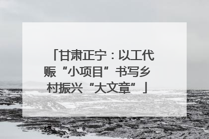 甘肃正宁：以工代赈“小项目”书写乡村振兴“大文章”
