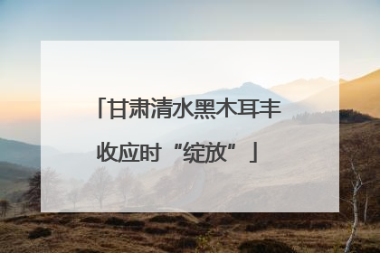 甘肃清水黑木耳丰收应时“绽放”