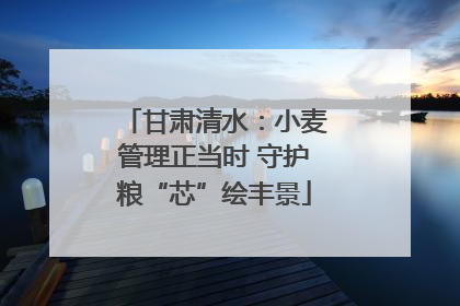 甘肃清水：小麦管理正当时 守护粮“芯”绘丰景
