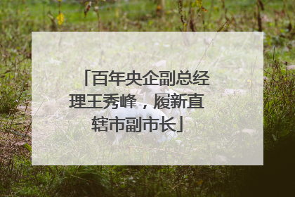 百年央企副总经理王秀峰，履新直辖市副市长
