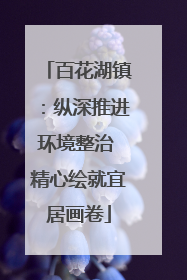 百花湖镇：纵深推进环境整治 精心绘就宜居画卷