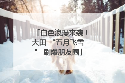 白色浪漫来袭!大田 “五月飞雪” 刷爆朋友圈