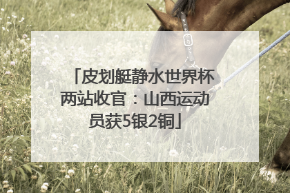 皮划艇静水世界杯两站收官：山西运动员获5银2铜