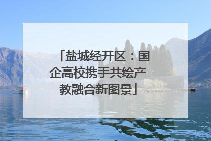 盐城经开区：国企高校携手共绘产教融合新图景