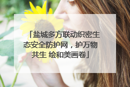 盐城多方联动织密生态安全防护网，护万物共生 绘和美画卷