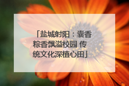 盐城射阳：囊香粽香飘溢校园 传统文化深植心田