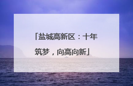 盐城高新区：十年筑梦，向高向新