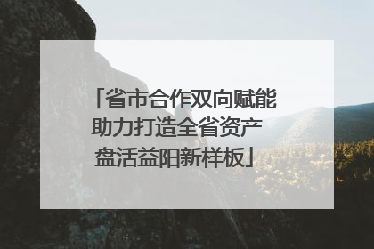 省市合作双向赋能 助力打造全省资产盘活益阳新样板