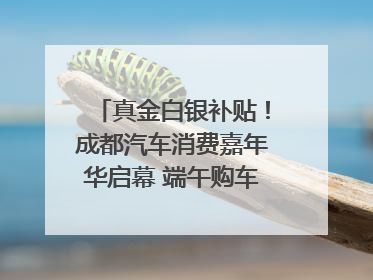 真金白银补贴！成都汽车消费嘉年华启幕 端午购车正当时｜网络中国节·端午