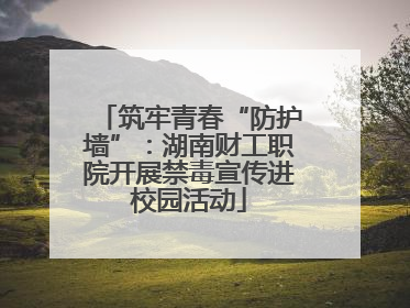 筑牢青春“防护墙”：湖南财工职院开展禁毒宣传进校园活动
