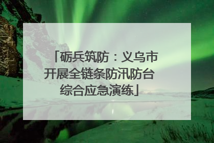 砺兵筑防：义乌市开展全链条防汛防台综合应急演练