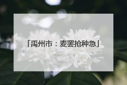 禹州市：麦罢抢种急