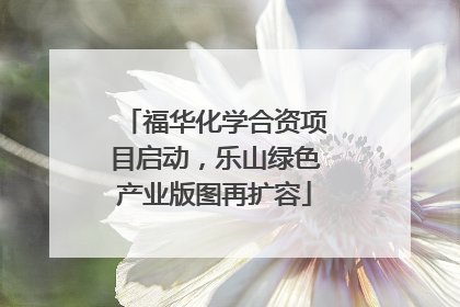 福华化学合资项目启动，乐山绿色产业版图再扩容