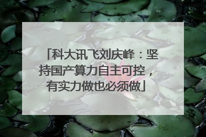科大讯飞刘庆峰：坚持国产算力自主可控，有实力做也必须做