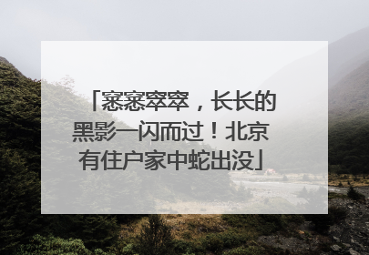 窸窸窣窣，长长的黑影一闪而过！北京有住户家中蛇出没