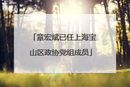 章宏斌已任上海宝山区政协党组成员
