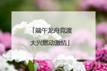 端午龙舟竞渡 大兴燃动激情