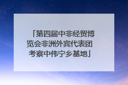 第四届中非经贸博览会非洲外宾代表团考察中伟宁乡基地