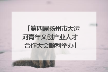 第四届扬州市大运河青年文创产业人才合作大会顺利举办