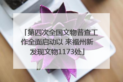 第四次全国文物普查工作全面启动以 来福州新发现文物1173处