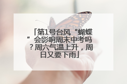 第1号台风“蝴蝶”会影响周末中考吗？周六气温上升，周日又要下雨